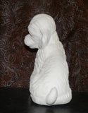 Poodle Sitting Pretty