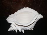 Ocean Beach SEASHELL Sea Shell Planter Large