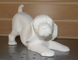 Playful  Puppy Dog Standing up & Sitting