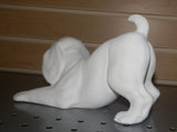 Playful  Puppy Dog Standing up & Sitting