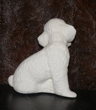 Poodle Sitting Pretty