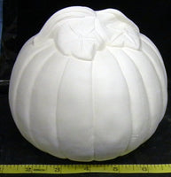 Harvest Pumpkin Halloween