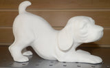 Playful  Puppy Dog Standing up & Sitting