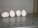 Set of 4 Detailed  EASTER Eggs Ribbon Daisy