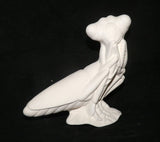 Praying Mantis Mantee