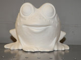 Bug Eyed Frog Planter Flower Pot