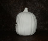 Baby Pumpkin Crying