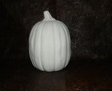 Baby Pumpkin Crying