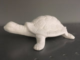 Garden or Plant Turtle
