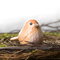 Round Whittle Bird