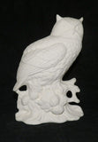 Owl Bird on Log